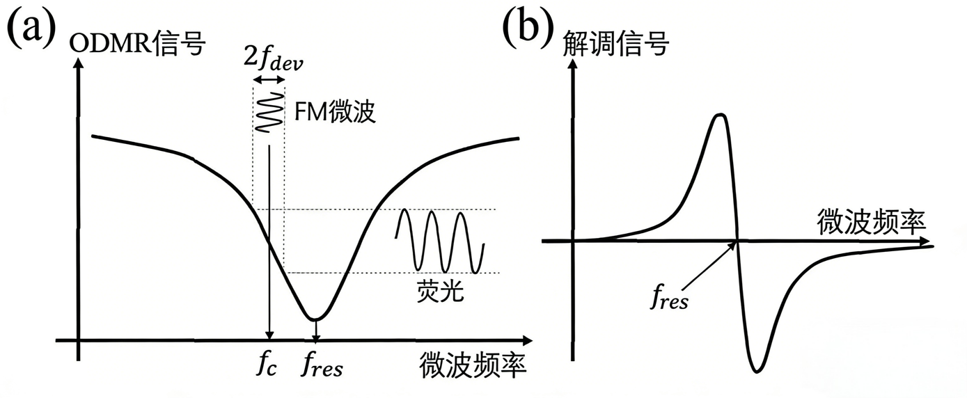 ODMR 测量原理